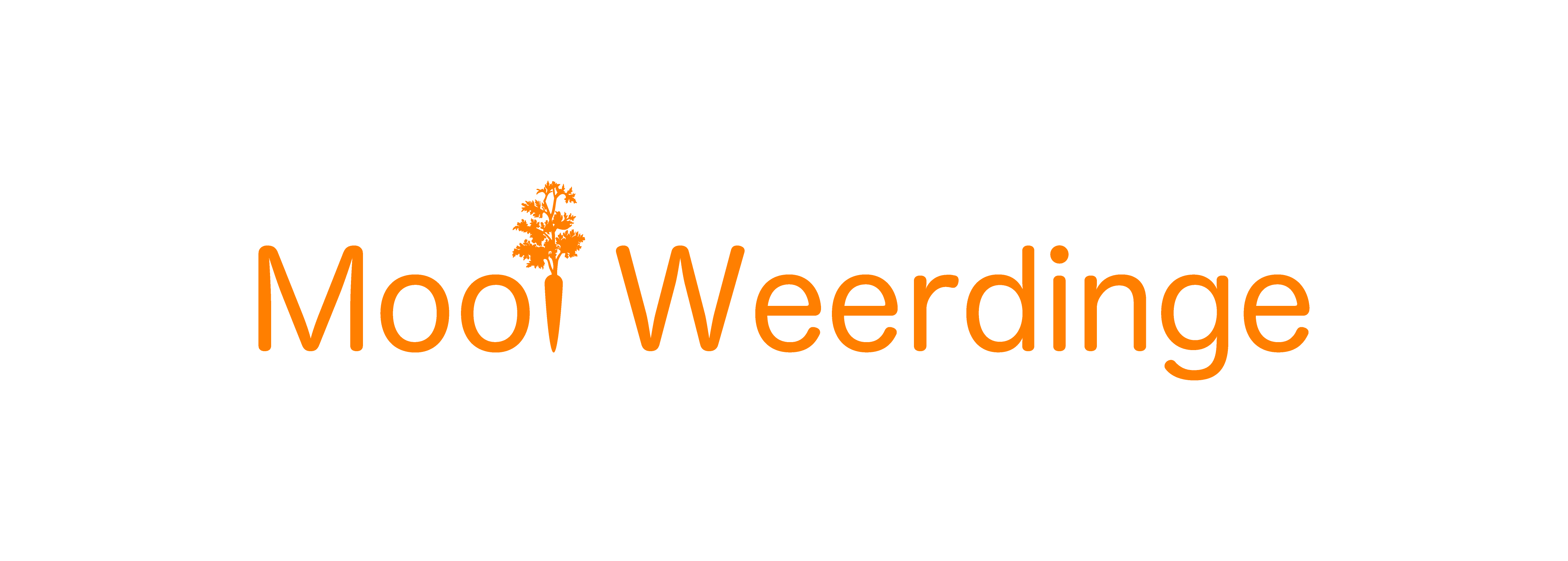 Logo Mooi Weerdinge oranje copy Logo Mooi Weerdinge oranje copy